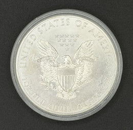 2013 American Silver Eagle w/ Capsule — 1 oz .999 Fine Silver