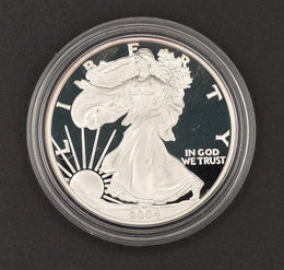 2004 American Silver Eagle Proof w/ Original Government Packaging (OGP) — 1 oz .999 Fine Silver