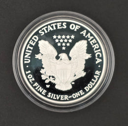 2004 American Silver Eagle Proof w/ Original Government Packaging (OGP) — 1 oz .999 Fine Silver